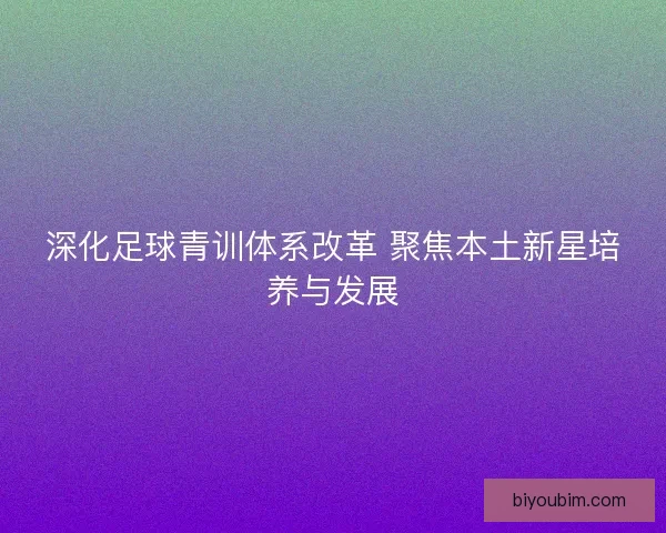 深化足球青训体系改革 聚焦本土新星培养与发展